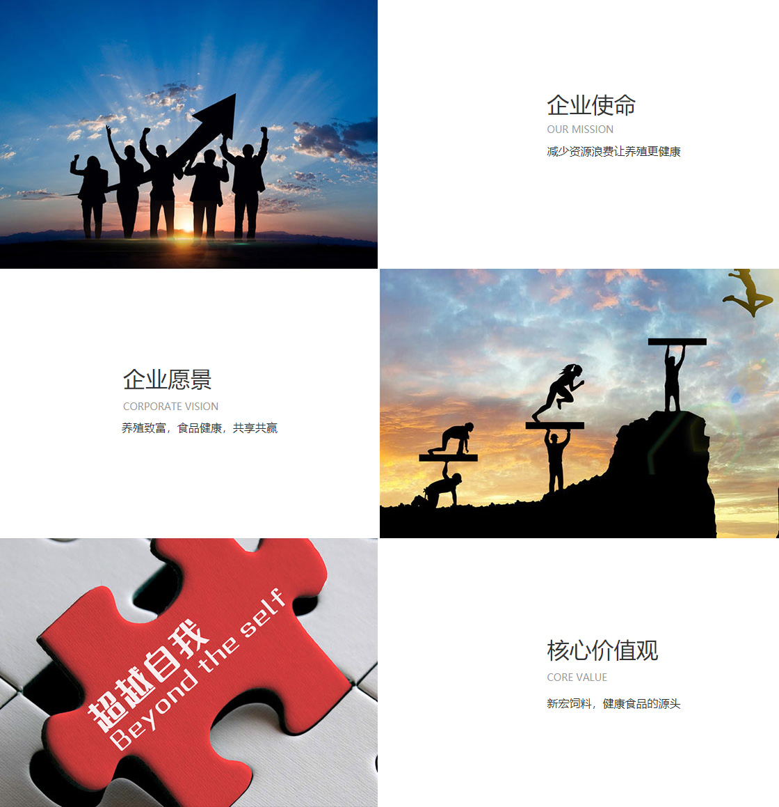 pg模拟器(图1)